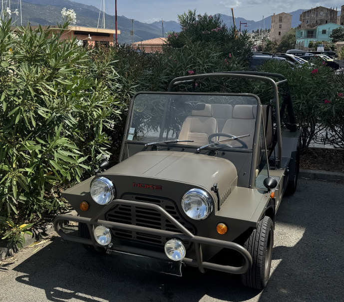 Mini Moke vert d’eau